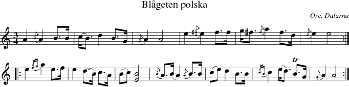 Blgeten polska