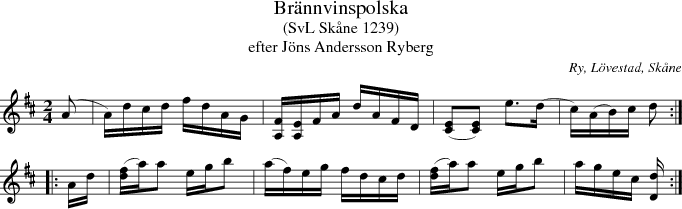 Brnnvinspolska 