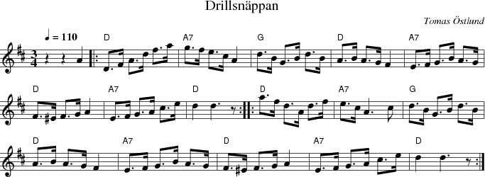 Drillsnppan