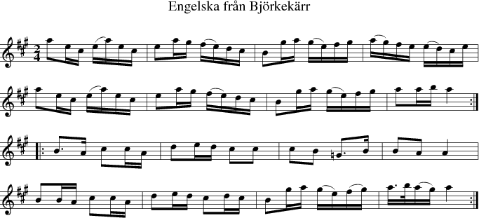 Engelska frn Bjrkekrr