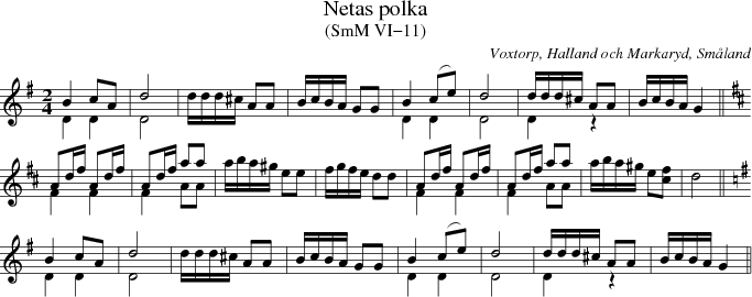 Netas polka