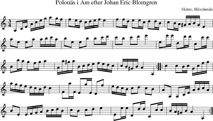 Polons i Am efter Johan Eric Blomgren