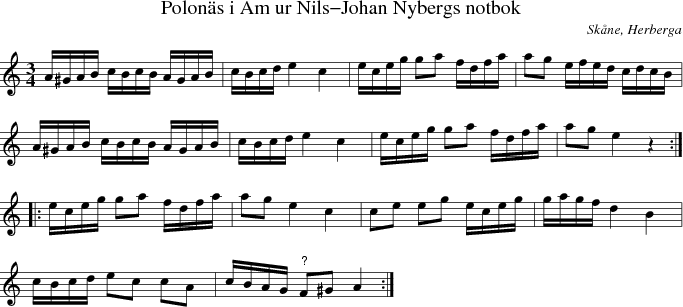 Polons i Am ur Nils-Johan Nybergs notbok