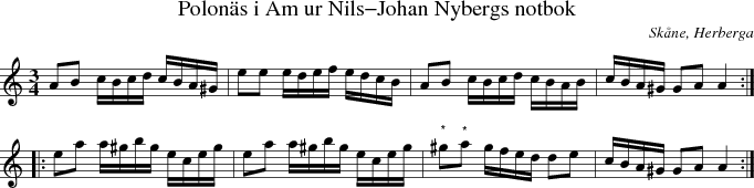 Polons i Am ur Nils-Johan Nybergs notbok