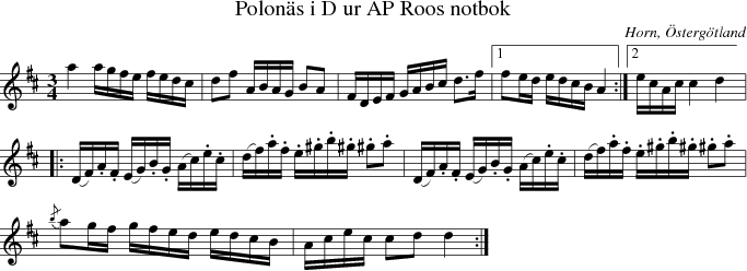 Polons i D ur AP Roos notbok