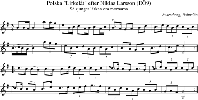 Polska "Lirkelt" efter Niklas Larsson (E9)