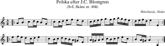 Polska efter J.C. Blomgren 