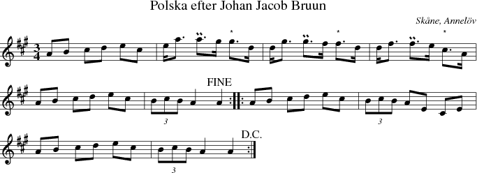 Polska efter Johan Jacob Bruun