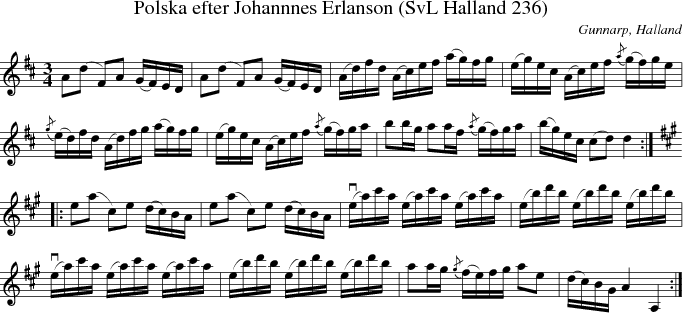 Polska efter Johannnes Erlanson (SvL Halland 236)