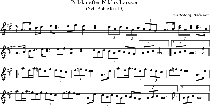 Polska efter Niklas Larsson 