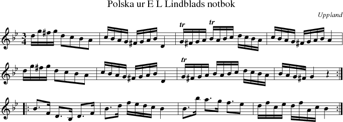 Polska ur E L Lindblads notbok