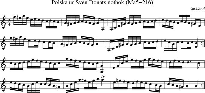 Polska ur Sven Donats notbok (Ma5-216)