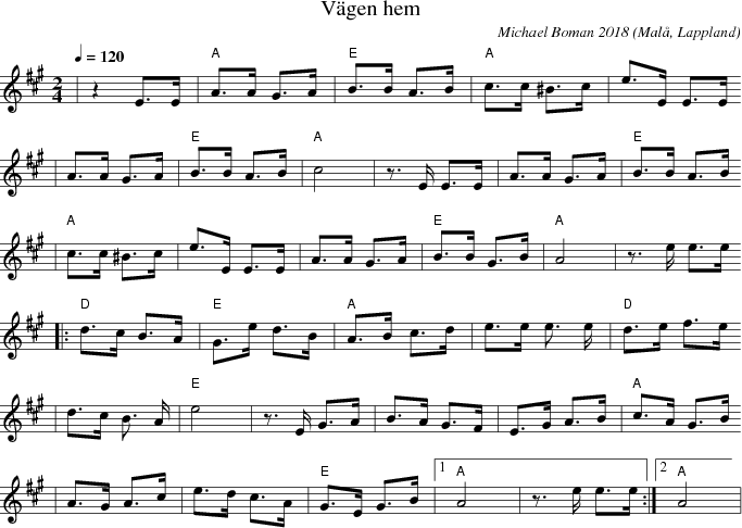 V�gen hem