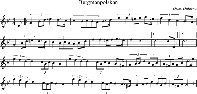  Bergmanpolskan