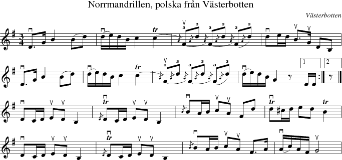  Norrmandrillen, polska frn Vsterbotten